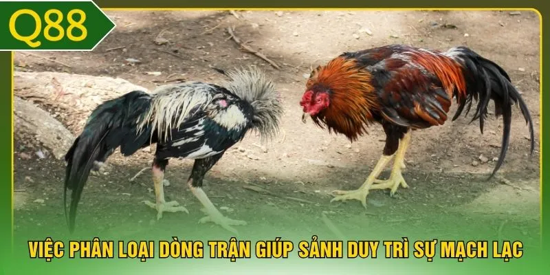 Việc phân loại dòng trận giúp sảnh duy trì sự mạch lạc 